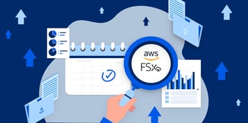 Amazon FSx for NetApp ONTAP: One Year In